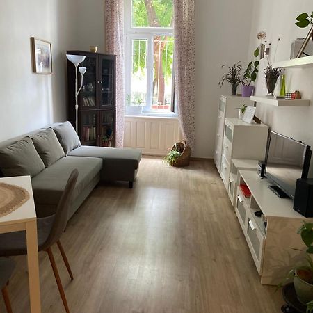 Simon'S Apartment City Centre Budapest Ngoại thất bức ảnh