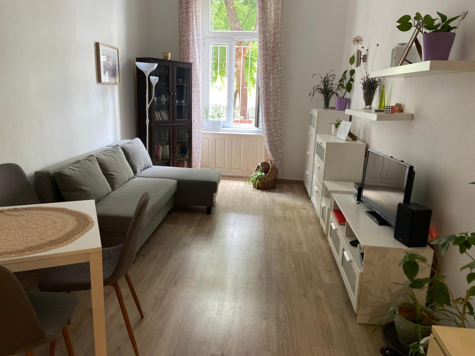 Simon'S Apartment City Centre Budapest Ngoại thất bức ảnh